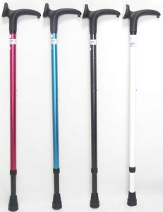 ՂX^CbVȃObv̐LksXebLiCane PCjGpCIyz