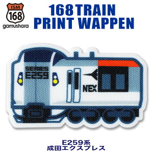 �g���C���v�����g���b�y���iE259�n ���c�G�N�X�v���X�j �A�C�������V�[�����p�^�C�v �j�̎q JR�����{ �l�C�̓d�ԁ��S���A�b�v���P �j�̎q �������w���� �z�n�X�e�b�J�[ �����ism