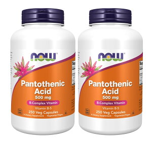 2�{�Z�b�g�i���v500���j�@�i�E�t�[�Y �p���g�e���_ 500 mg 250�x�W�J�v�Z�� - NOW Foods Pantothenic Acid 500 mg 250 vegecaps