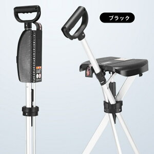 XebL`FA XebL   1.1kg s⏕ ܂݃`FA ֎qɂȂ oR A~ ܂ y XebL`FA܂肽݈֎q piA~