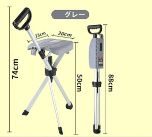 XebL`FA XebL   1.1kg s⏕ ܂݃`FA ֎qɂȂ oR A~ ܂ y XebL`FA܂肽݈֎q piA~