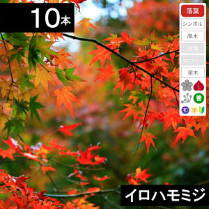 y10{zCn~W@c؁@0.8`1.0mx