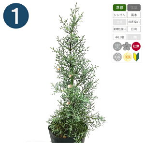 1{ /u[ACX 15cm|bg 25cm` Rjt@[