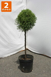 Rjt@[ [Y_X X^_[hd |bga21cm 0.6mx` y2|bgZbgz