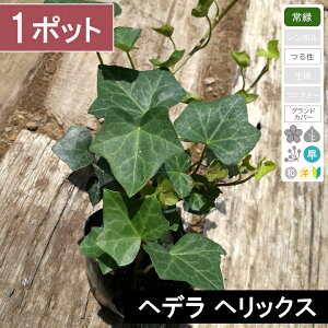 y1|bgzuwf wbNXv@|bga9cm