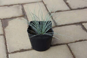 y3|bgZbgzutFXcJ@OEJv @0.1mx