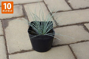 y10|bgZbgzutFXcJ@OEJv @0.1mx