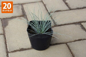 y20|bgZbgzutFXcJ@OEJv @0.1mx