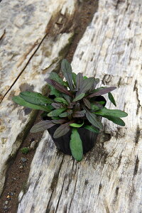 y5|bgZbgz AWKE`R[g`bv@|bga9cm