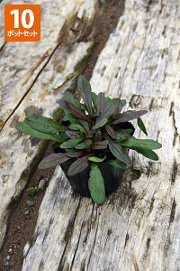 y10|bgZbgz AWKE`R[g`bv@|bga9cm