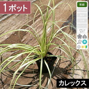 y1|bgzuxAOXiʖFJbNXjv@|bga9cm