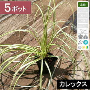 y5|bgzuxAOXiʖFJbNXjv@|bga9cm