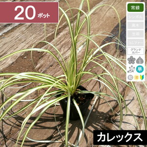 y20|bgzuxAOXiʖFJbNXjv@|bga9cm