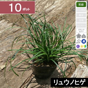 y10|bgzuEmqQiWmqQjv@|bga9cm