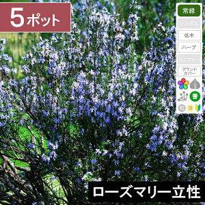 y5|bgz[Y}[@c@10cmx`@|bga9cm