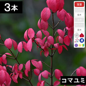 y3{zR}~c؁@30cm`50cmx