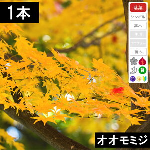 y1{zII~Wc؁@0.3`0.5mx