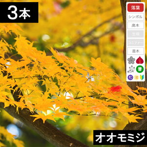 y3{zII~Wc؁@0.3`0.5mx