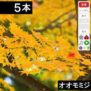 y5{zII~Wc؁@0.3`0.5mx