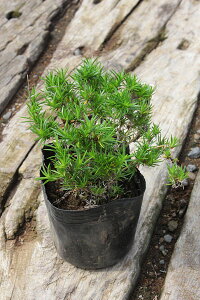 y1|bg`zōu^}miK(̗jv |bga9cm