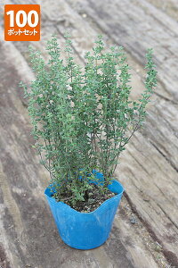 uR^Cv@|bga9cm@y100|bgZbgzyz