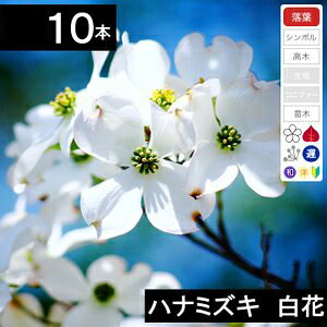y10{z@ni~YLc؁@ԁ@40cm`70cmx