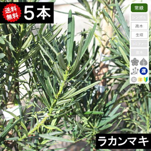 Vi큟y5{z@J}L50cm`70cm