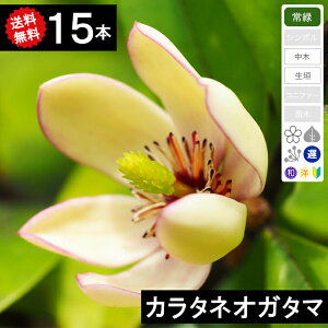 y15{z@J^lIK^}@50cm`80cm