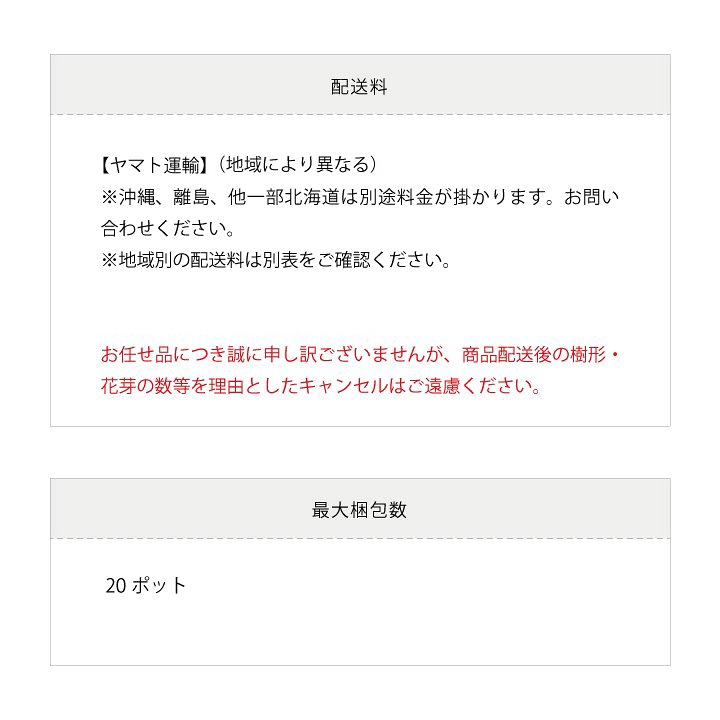 楽天市場】【1ポット】モリムラマンネングサ 幅10〜15cm程度 ポット苗