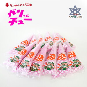 T^̃ACXH Kƃ`[12  X ACX 