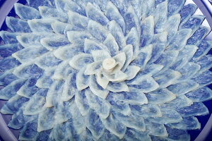 Ƃӂhgi4`5lOji  Ԃ j 񂹃O B yY Hו Mtg CNMtg @ 