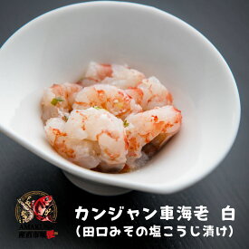 カンジャン車海老白 塩こうじ漬け 70g