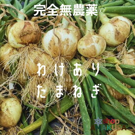 ＼2026年度予約受付中／無農薬 訳あり玉ねぎ10kg 送料別 完全無農薬 こだわり農法 新たまねぎ オーガニック栽培 サラたま サイズ無選別 玉ねぎ たまねぎ タマネギ