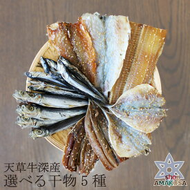 山下水産 干物5種 セット 送料無料 5箱選べる干物詰め合わせ いわし あじ タチウオ みりん干し ギフト 贈答品 御礼 お返し 内祝い お取り寄せグルメ 九州 土産 送料無料