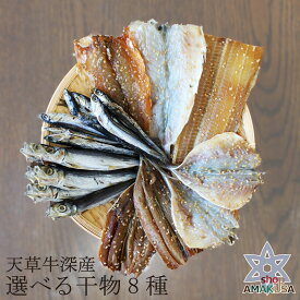 山下水産 干物8種 干物セット 送料無料 8箱選べる干物詰め合せ いわし あじ タチウオ みりん干し等