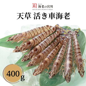 CV̋{ ԊCV400g  ܂ CN Mtg C̓VǎԊCV