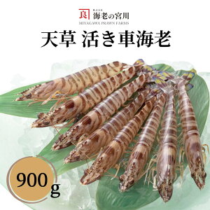 CV̋{ ԊCV900g  ܂ CN Mtg C̓VǎԊCV