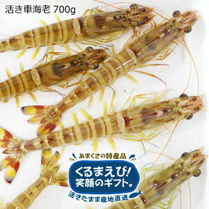 車海老 贈り物 魚介類の人気商品 通販 価格比較 価格 Com