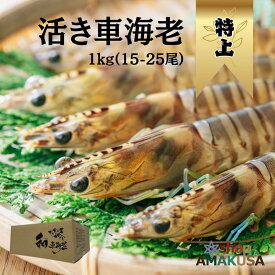 特上 活き車海老 やまと車海老 1kg（15-25尾入）送料無料 海鮮 ギフト 活き車海老 大きいサイズ