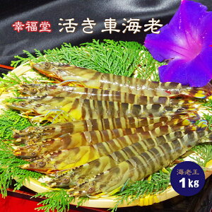 K ԊCV CV 1kgi34COjV F{