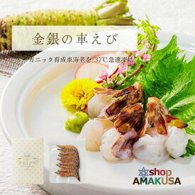 金銀の車えび200g 送料無料 贈答用 急速凍結 活〆クルマエビ 天草産 化粧箱入り