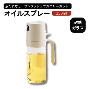 ICXv[ KX |bg ICXv[{g  Xv[{g ɍׂ̃~Xg 250ml IC{g p   ho Rh~ Lv Lb`pi lߑւe 2WAY 