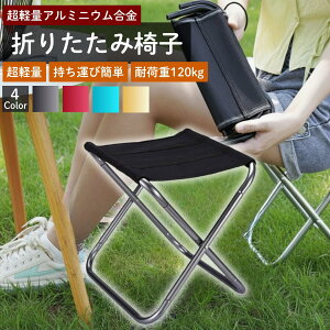 AEghA`FA ܂肽݈֎q yʃRpNg A~t[ ω׏d120kg Lv BBQ nCLO Cxg ȒPg