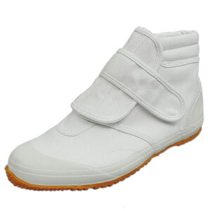 ƌC eЂ#6 RS }WbNe[v nCIJbg H ɂ zCg u[ ubN /ST