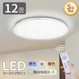 レビューで10%OFFクーポン★電気 led シーリングライト【5年間保証】 調光 調色 おしゃれ 12畳10畳 北欧 照明器具 led ライト 電気 節電 ダイニング リビング 照明 間接照明 ベッドルーム 和室 洋室 ナイトライト 常夜灯/タイマー機能付き 軽量 屋内照明 天井直付灯