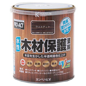 R[i IWi PROACT ؍ޕیh 1D6L EHibg