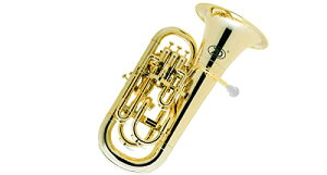 ZO [bgEI[ vX`bN[tHjA EU-08 J[:VpS[h