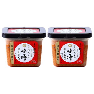 [R{X] X Y ڂ낵̖X Ĕ킹 500g×2