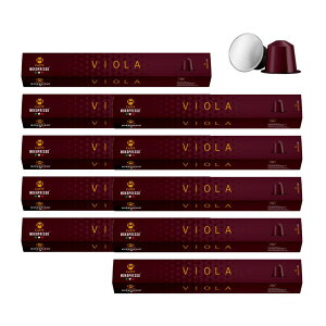 Jvb\ VIOLA^BI lXvb\݊JvZ 10×10{Zbgi100JvZj