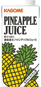 JS pCAbvW[X ze Xgp 1L 1000ml 6{ Ɩp pCibv